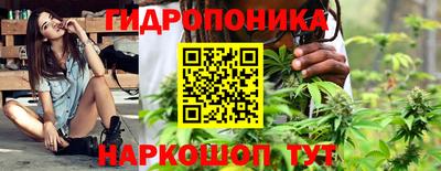 гашик Изобильный